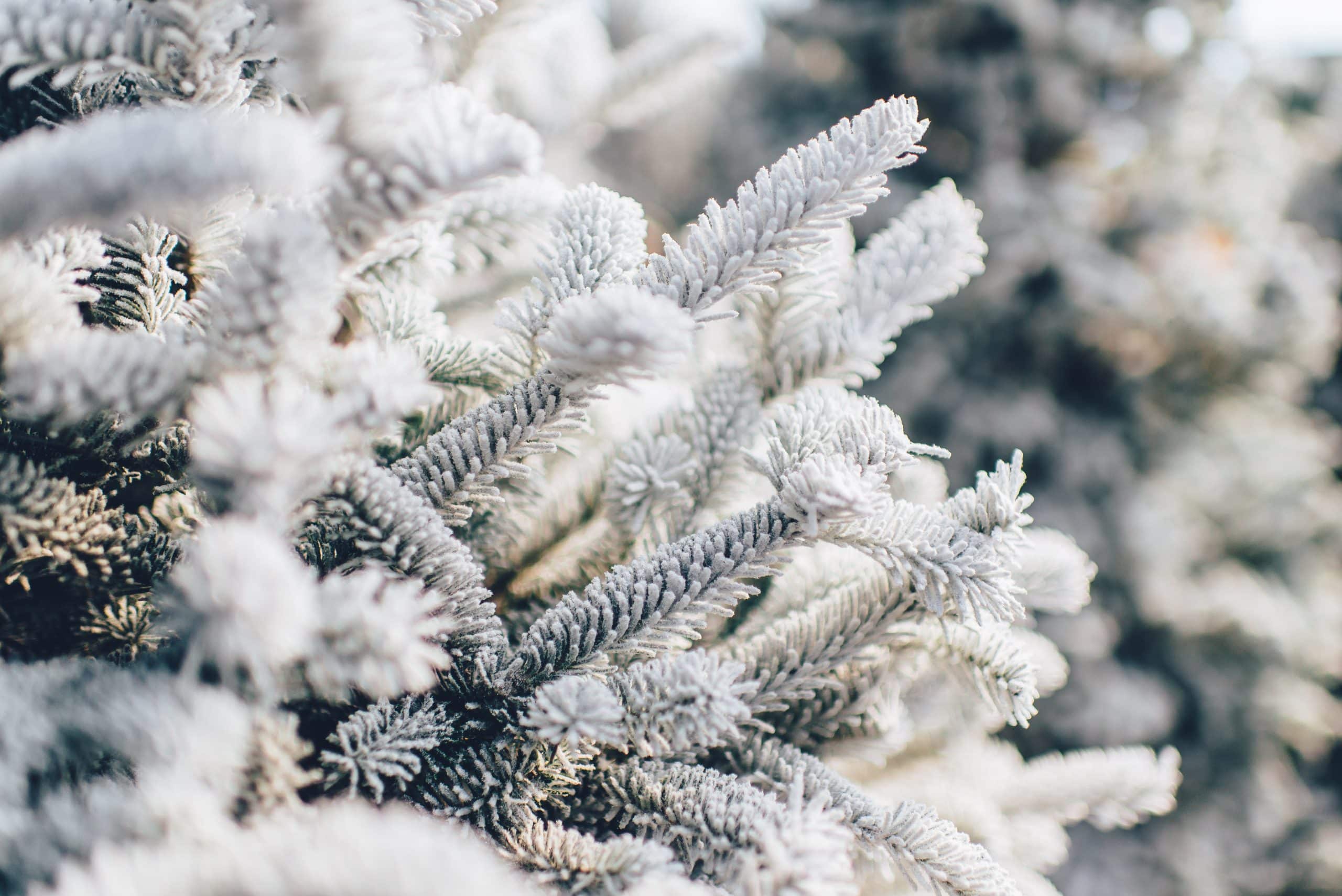 6 Tips to Winterize Your Car and Avoid Emergencies