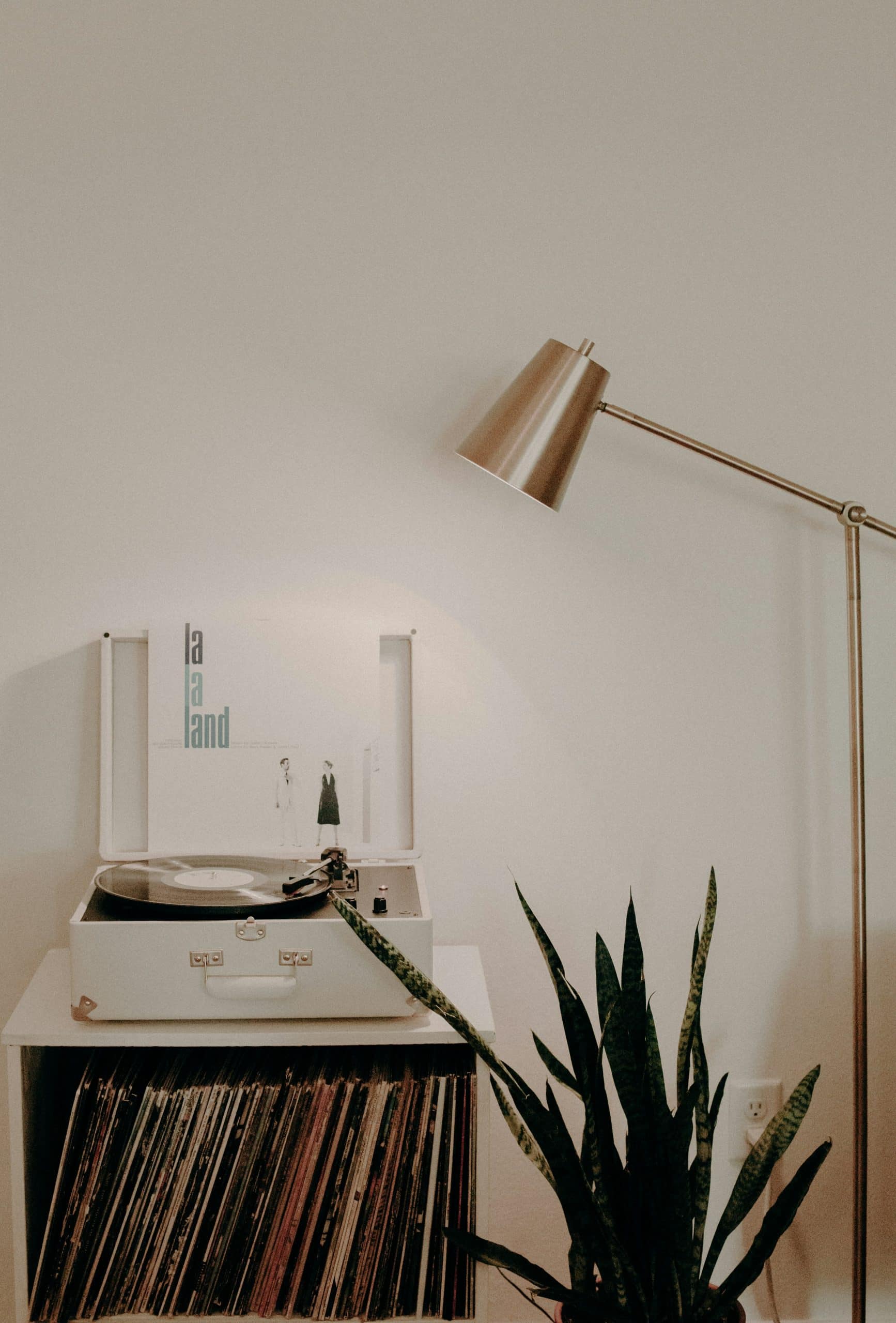 The Ultimate Guide to Buying a House with an LLC