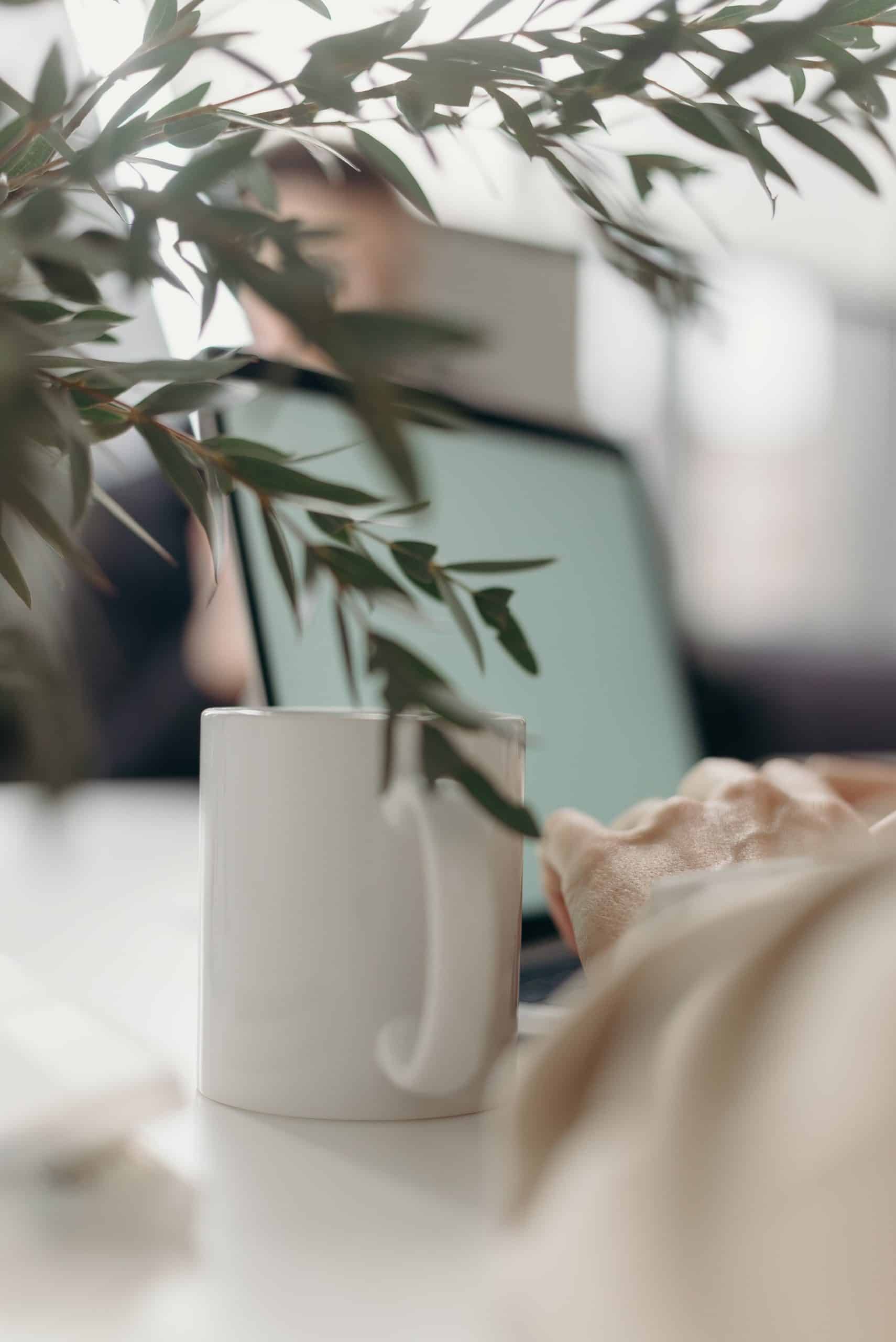 Career Advice for Every Stage of Your Professional Journey