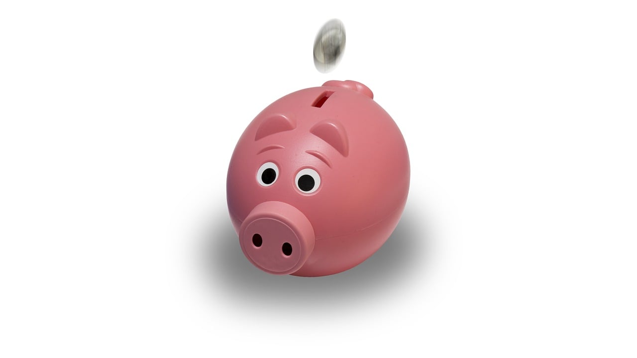Choosing A Savings Account With Low Fees And High Accessibility
